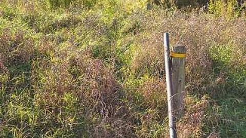 Timo's Eagle Eye - Wilder-Family-Cemetery17.jpg