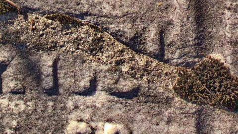 Timo's Eagle Eye - Wilder-Family-Cemetery20.jpg