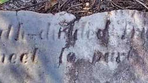 Wilder Family Cemetery photo 4