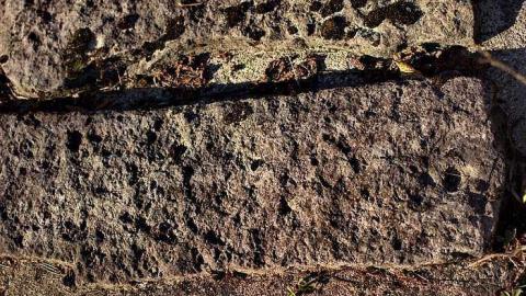 Timo's Eagle Eye - Wilder-Family-Cemetery5.jpg