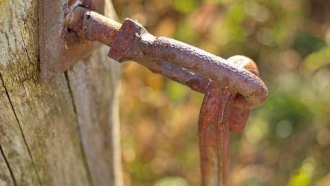 Timo's Eagle Eye - Wilder-Family-Cemetery6.jpg
