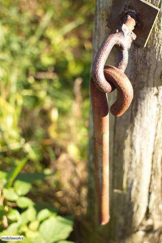 Wilder Family Cemetery photo 5