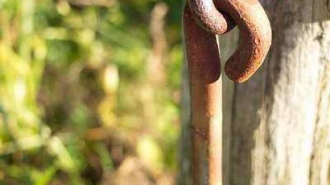 Wilder Family Cemetery photo 5