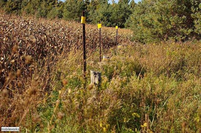 Wilder Family Cemetery photo 2
