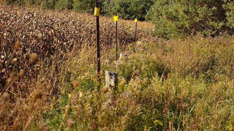 Wilder Family Cemetery photo 2