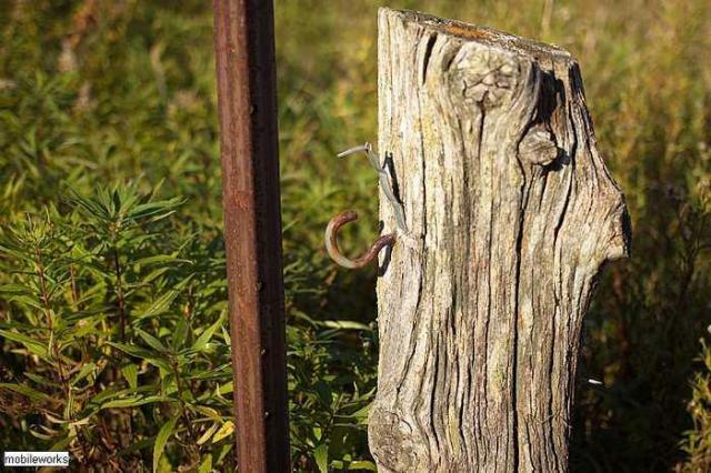 Wilder Family Cemetery photo 3