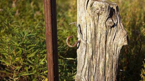 Wilder Family Cemetery photo 3