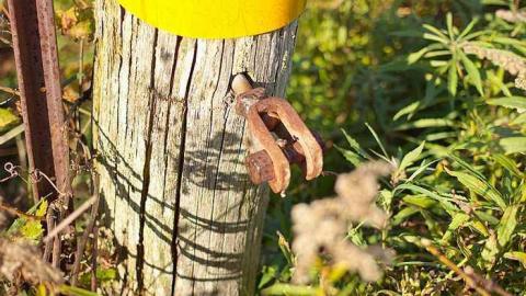 Timo's Eagle Eye - Wilder-Family-Cemetery8.jpg