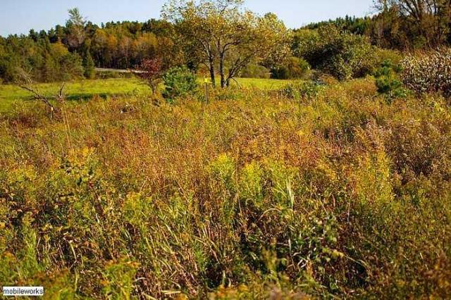 Wilder Family Cemetery photo 5