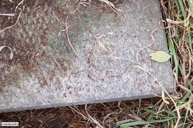 Wilder Family Cemetery photo 4