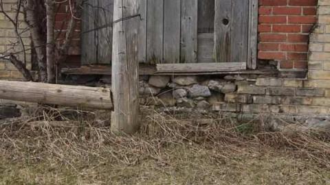 Gospel Mennonite Church - Gospel-Mennonite-Church4.jpg