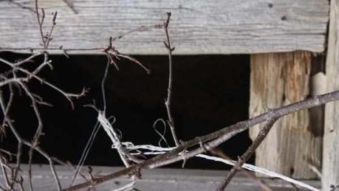 Gospel Mennonite Church photo 2