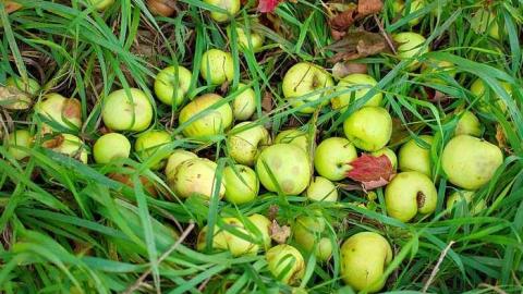 Touched Too Much - n-OAPloc.cem FALL shots 2015 HDR 172.jpg