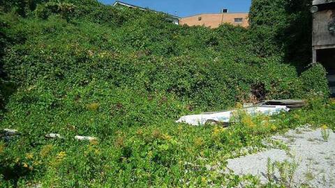 ABC Lumber - ABC-Lumber23.jpg