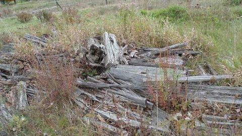 Oct 15, 2015 - Abandoned-Playing-Field2.jpg