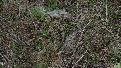 Oct 15, 2015 - Abandoned-Playing-Field11.jpg