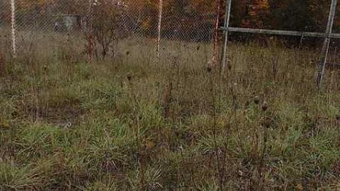 Oct 15, 2015 - Abandoned-Playing-Field13.jpg