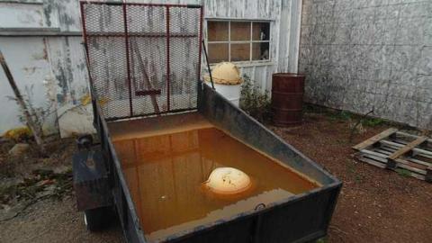 Oct 15, 2015 - Drummonds-Gas4.jpg