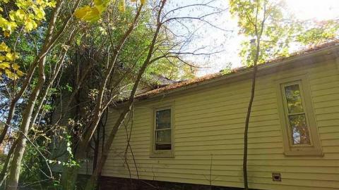 Floor No More - p-Back.jpg