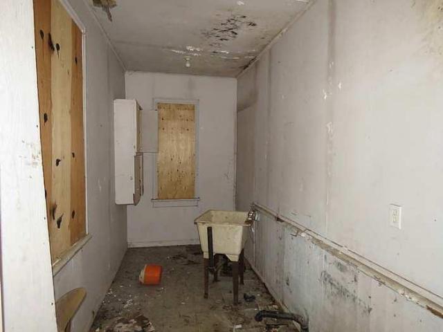 Floor No More - n-Laundry.jpg