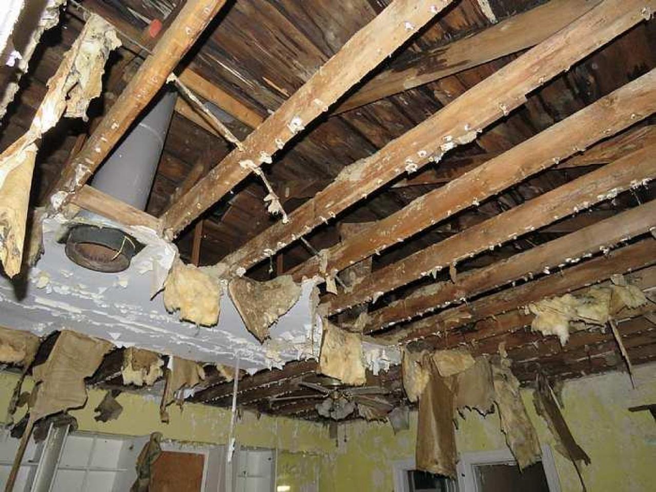 Floor No More - p-Roofin.jpg