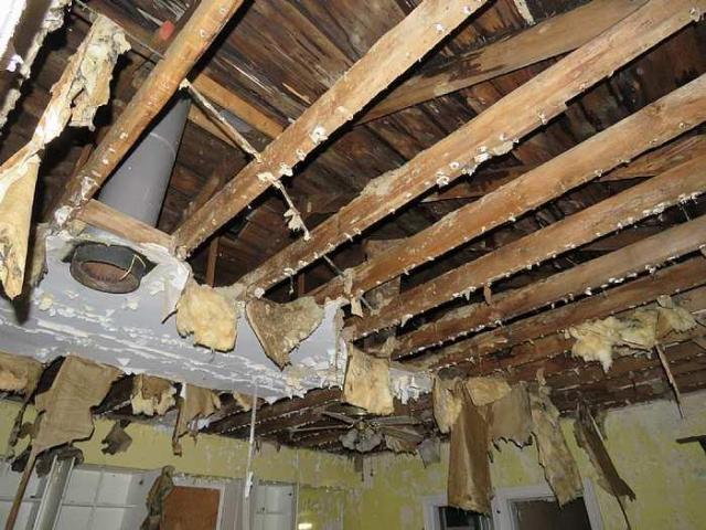 Floor No More - p-Roofin.jpg