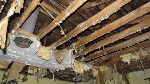 Floor No More - p-Roofin.jpg