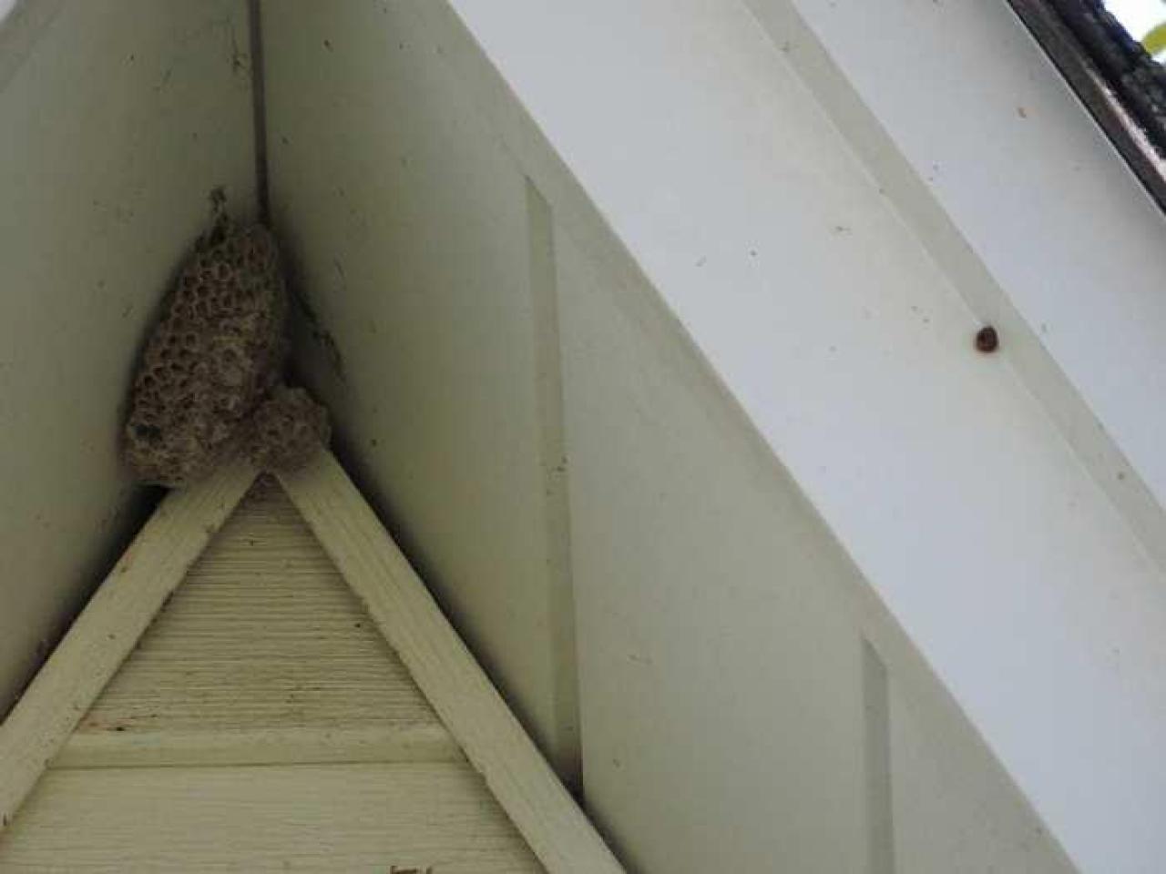 Floor No More - z-Nest.jpg