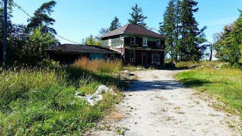 Stinky - This-Guy-Stunk70.jpg