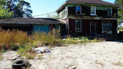 Stinky - This-Guy-Stunk71.jpg