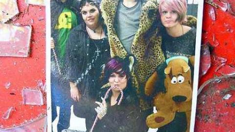 This Guy Stunk - Uxbridge, Ontario