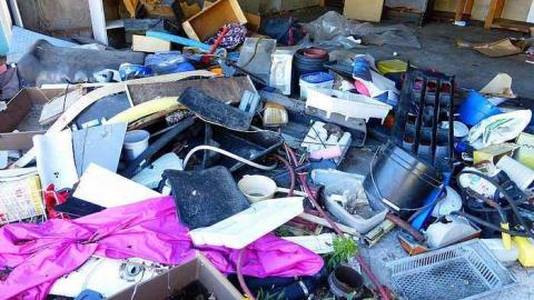 Stinky - This-Guy-Stunk80.jpg