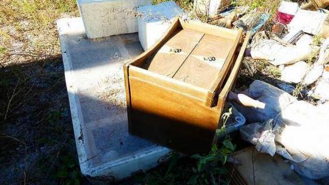 Stinky - This-Guy-Stunk81.jpg