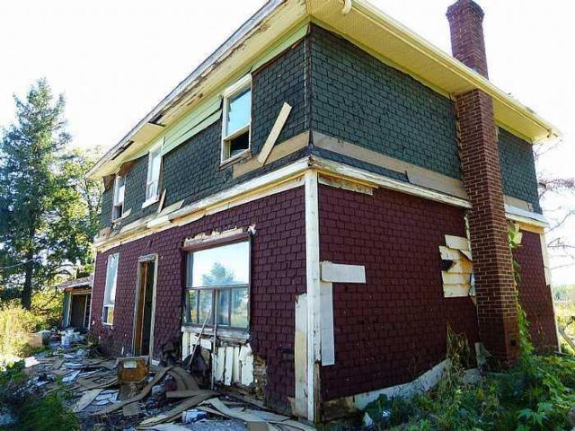 This Guy Stunk photo 2