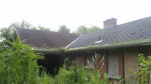 July 2014 - Ericas-Place66.jpg