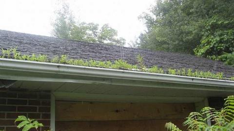 July 2014 - Ericas-Place70.jpg