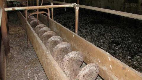 N. Whitby Farm - z-Feed Trough.jpg