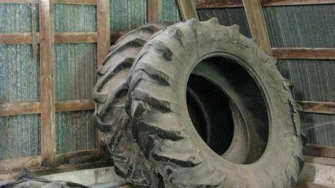 N. Whitby Farm - l-Shed 2.jpg