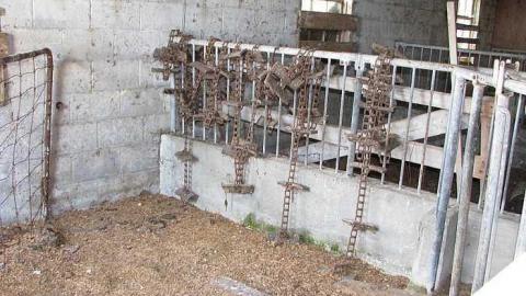 N. Whitby Farm - m-Back Barn.jpg