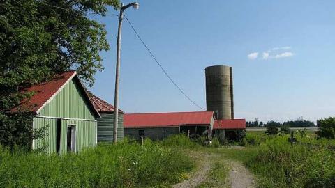 Holsteins - Tisk-Tisk,-Taska25.jpg