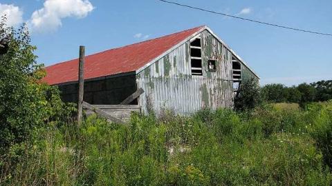 Holsteins - Tisk-Tisk,-Taska14.jpg