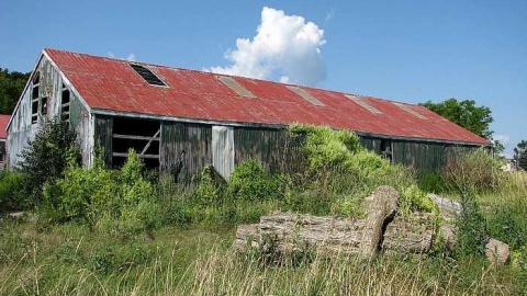 Holsteins - Tisk-Tisk,-Taska26.jpg