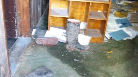 Holsteins - Tisk-Tisk,-Taska21.jpg