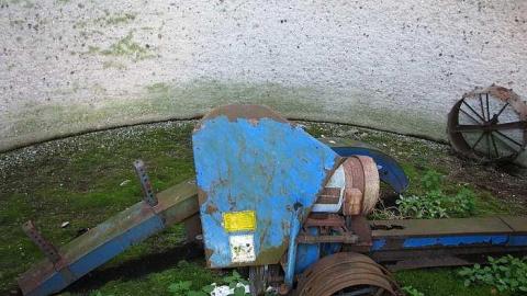 Holsteins - Tisk-Tisk,-Taska22.jpg