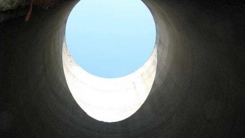 Holsteins - Tisk-Tisk,-Taska23.jpg