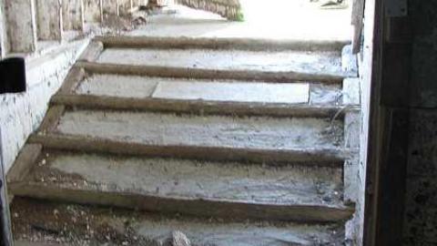 Holsteins - Tisk-Tisk,-Taska24.jpg