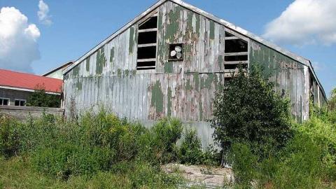 Holsteins - Tisk-Tisk,-Taska29.jpg