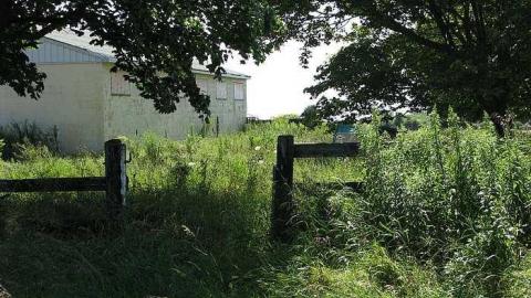 Not so Cocky now - Granny-Cocks-House48.jpg