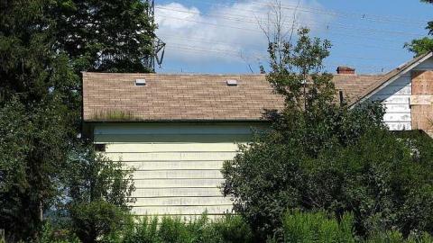 Not so Cocky now - Granny-Cocks-House83.jpg