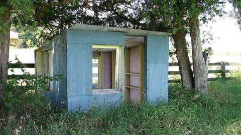 Photo from Not so Cocky now